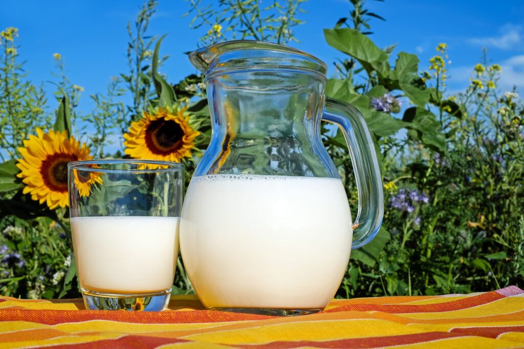 mleko, dieta ketogeniczna